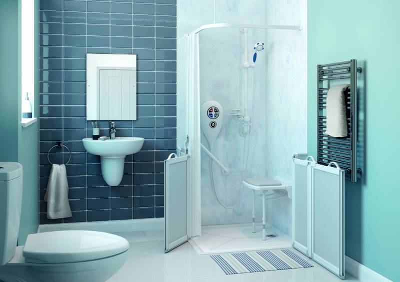 douche senior à Luneville en Meurthe et Moselle (54)